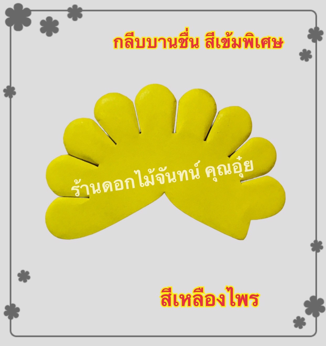 กลีบบานชื่น สีเหลืองไพร