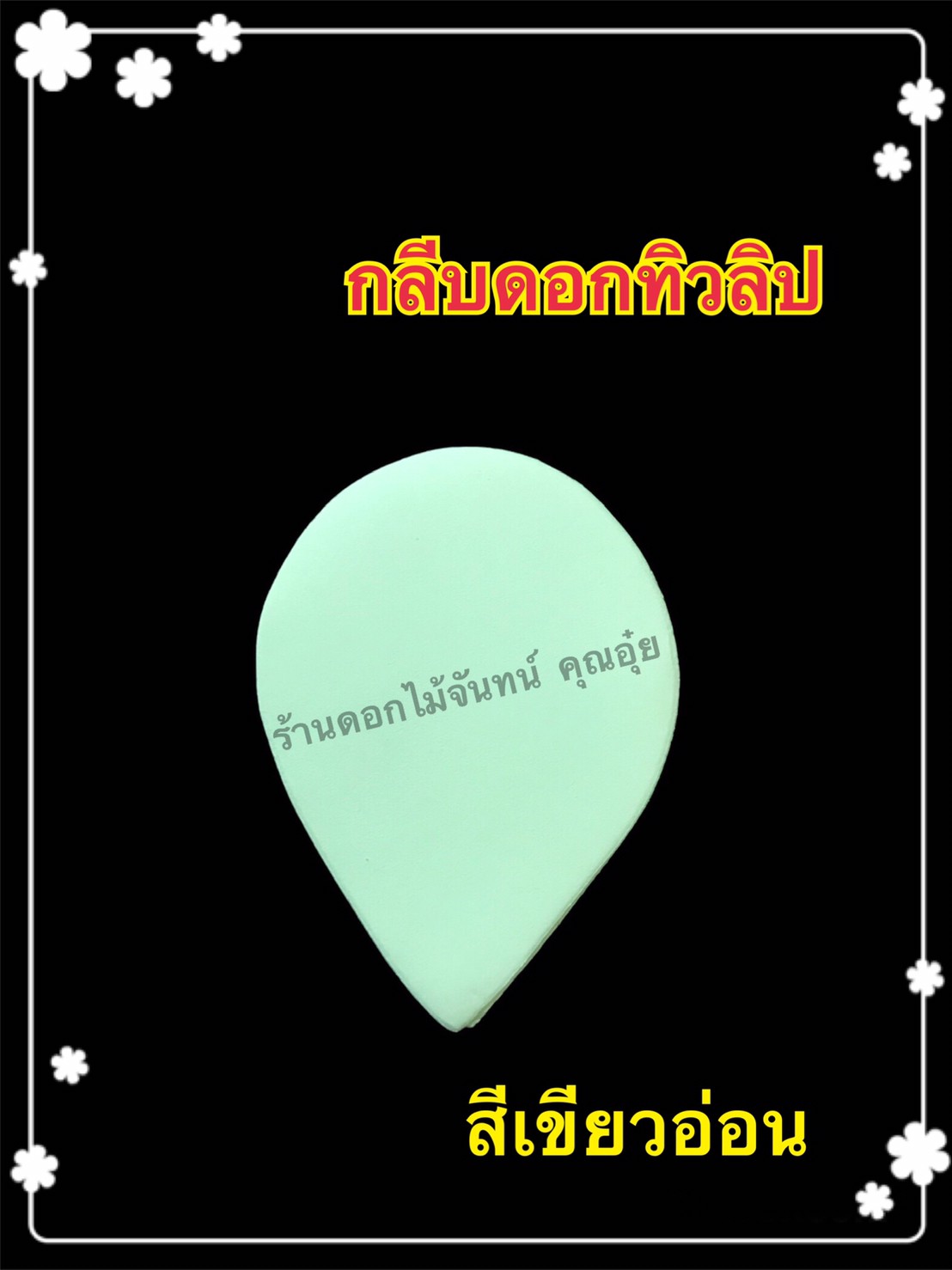 กลีบดอกทิวลิป สีเขียวอ่อน