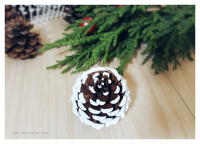 Snow Pine Cone ลูกสนธรรมชาติ สีน้ำตาลเข้ม แต้มขอบปีกด้วยสีขาว