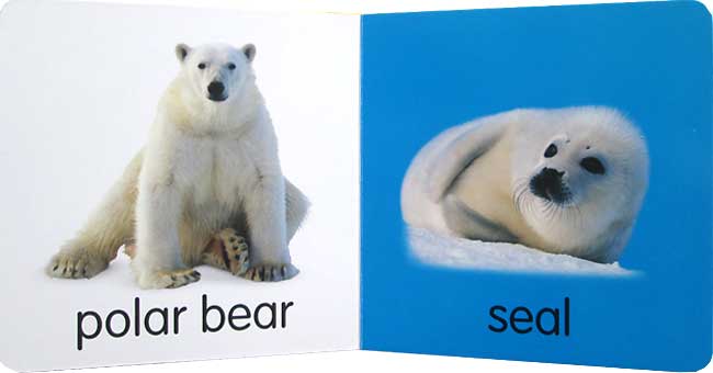 หนังสือภาพสัตว์ / Baby Boppers : baby's first animals (Hinkler)