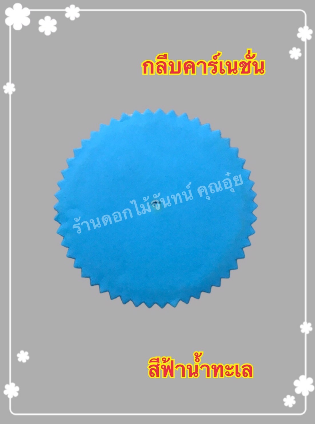 กลีบคาเนชั่น สีฟ้าน้ำทะเล