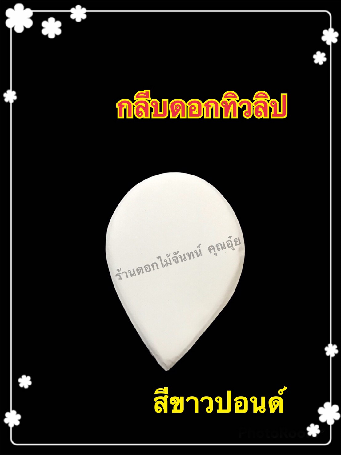 กลีบดอกทิวลิป สีขาวปอนด์
