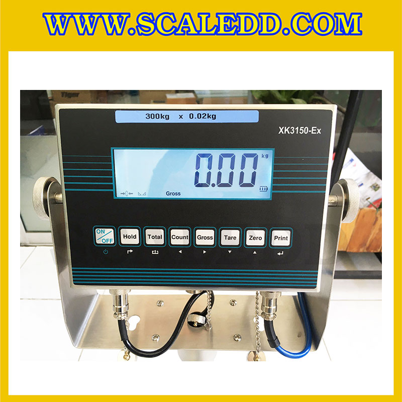 เครื่องชั่งดิจิตอลกันระเบิด XK3150 Explosion Proof Scales เครื่องชั่งน้ำหนัก300kg เครื่องชั่งดิจิตอล300kg ตาชั่งดิจิตอล300กิโลกรัม เครื่องชั่งดิจิตอลกันระเบิด300kg พิกัดน้ำหนัก 300kg ค่าละเอียด 20g ขนาดแท่นชั่ง 40x50cm. ยี่ห้อ LOCOSC รุ่น XK3150-EX