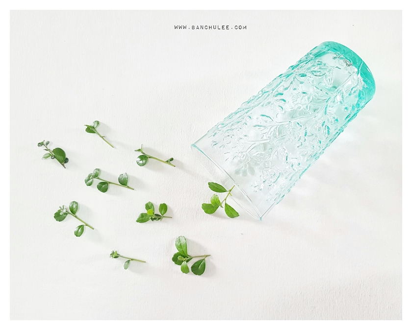 Vintage Glass Cup - Light Green