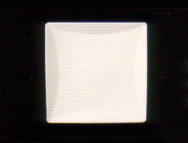 SQUARE DINNER PLATE Code : P6901