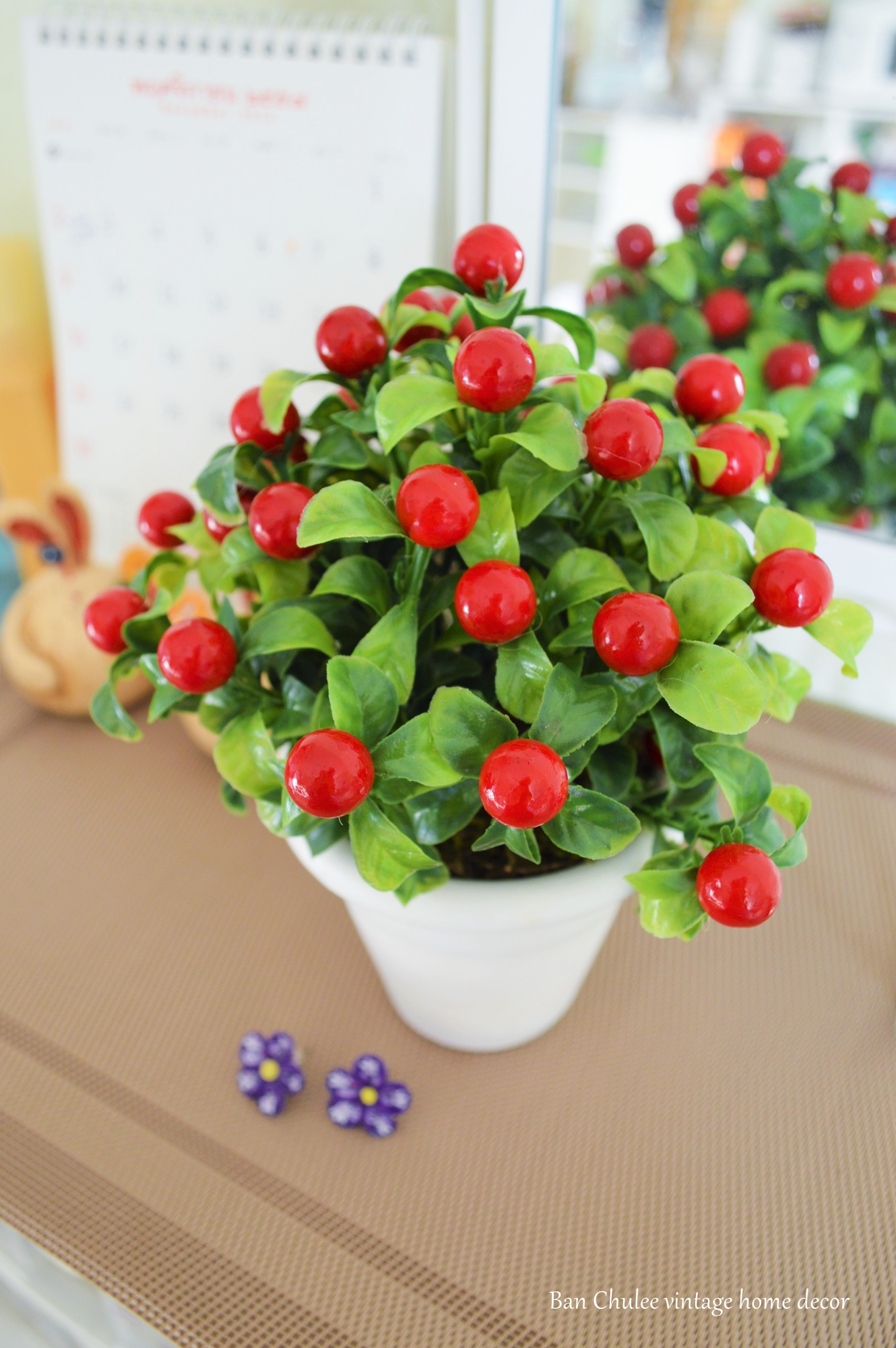 Red Berry In Flowerpot ต้นเบอร์รี่ในกระถาง
