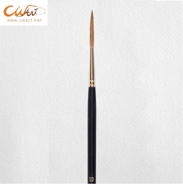 พู่กัน Rembrandt Series 310 Liner