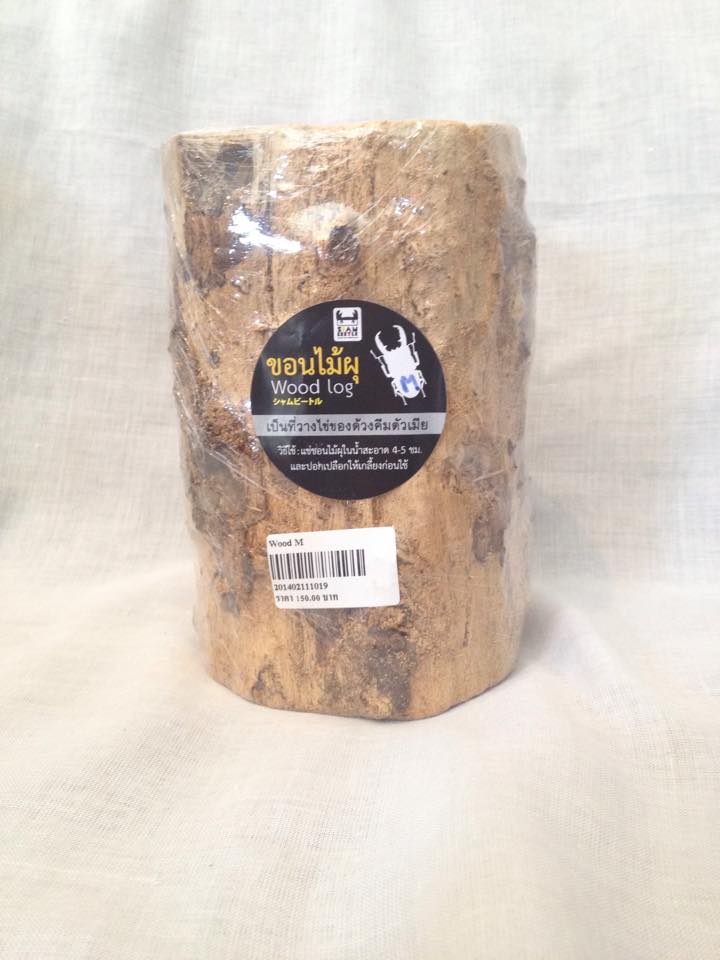 ท่อนไม้ผุ ขนาด M (เส้นผ่านศูนย์กลาง 8 ซม.) ไม้ผุชุดนี้มีความผุมากเป็นพิเศษ มีจำนวนจำกัด