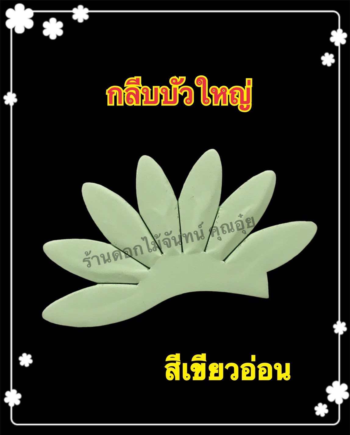กลีบบัวใหญ่ สีเขียวอ่อน