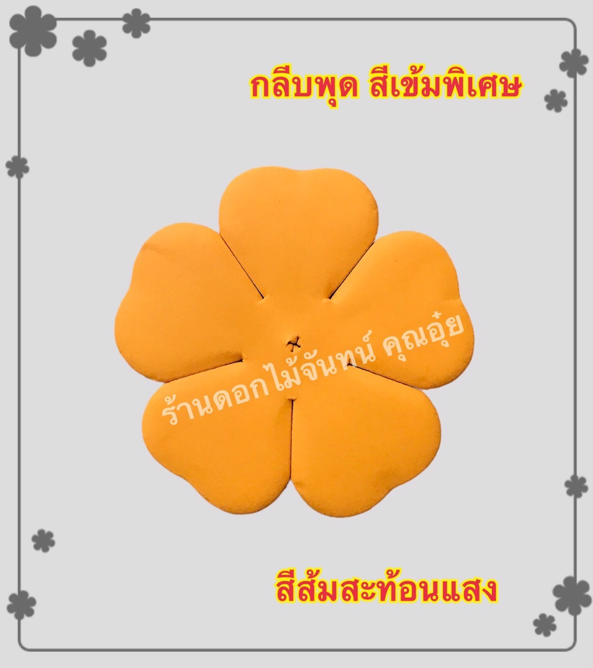 กลีบพุด สีส้มสะท้อนแสง