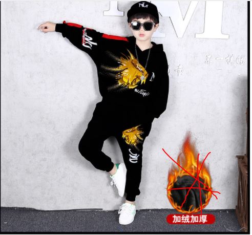 ชุดเต้น ชุดฮิปฮอปแขนยาว ลายสิงห์