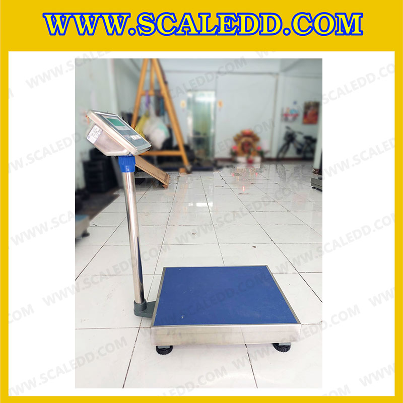 เครื่องชั่งดิจิตอลตั้งพื้น พิกัดน้ำหนัก 300kg ค่าละเอียด 50g ขนาดแท่นชั่ง 40x50 cm. ยี่ห้อ Dynaweight รุ่น DW611 (เครื่องชั่งผ่านตรวจรับรองจากสำนักชั่งตวงวัด)
