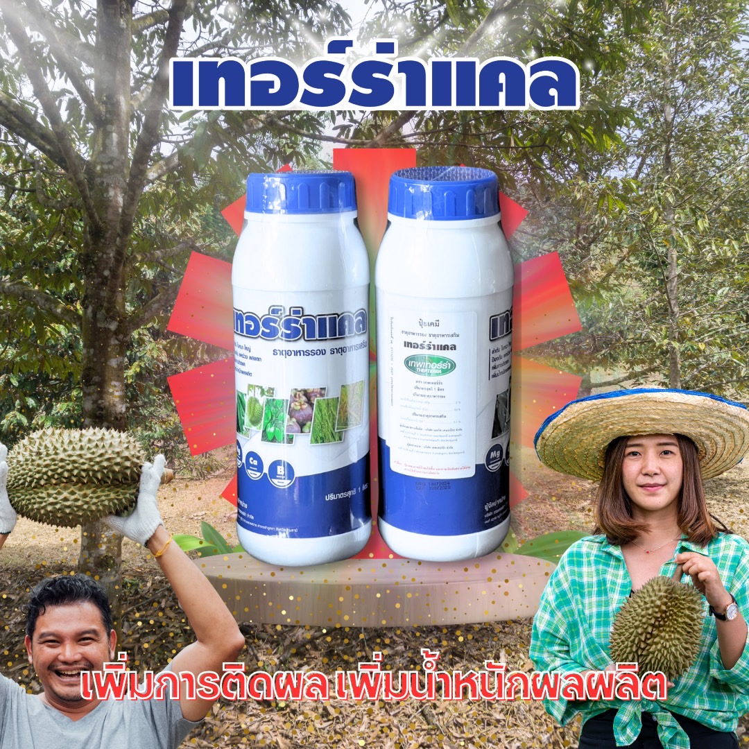 เทอร์ร่าแคล