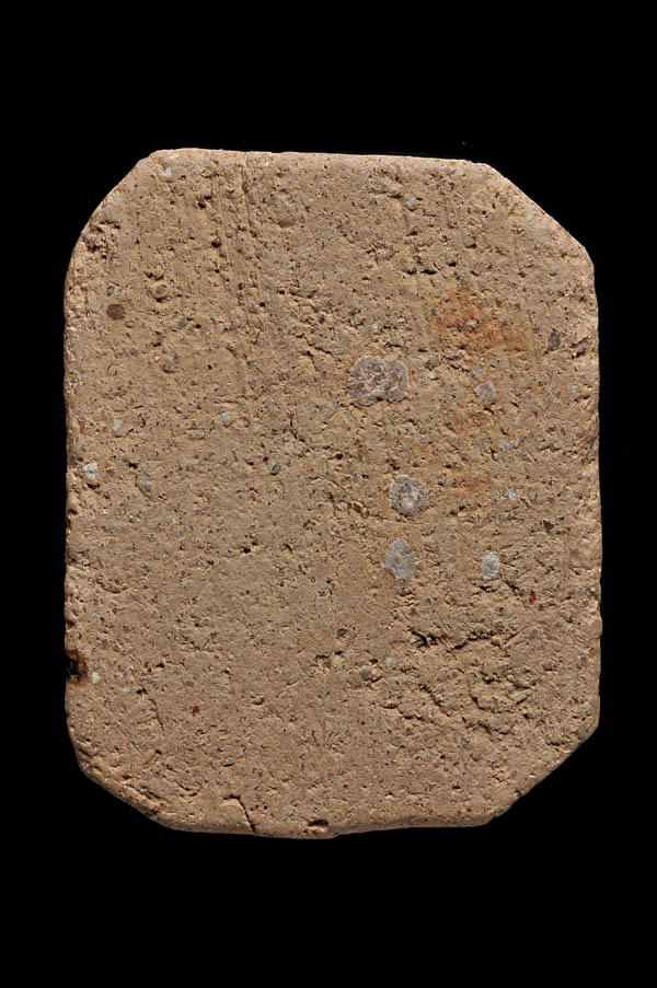 พระครูวิหารกิจจานุการ ( หลวงพ่อปาน โสนันโทเถระ )