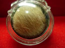 ตลับยาหม่อง หนังหน้าผากเสือหลวงพ่อเต๋พิมพ์เล็ก เลี่ยมกันน้ำพ ร้อมใช้สวย