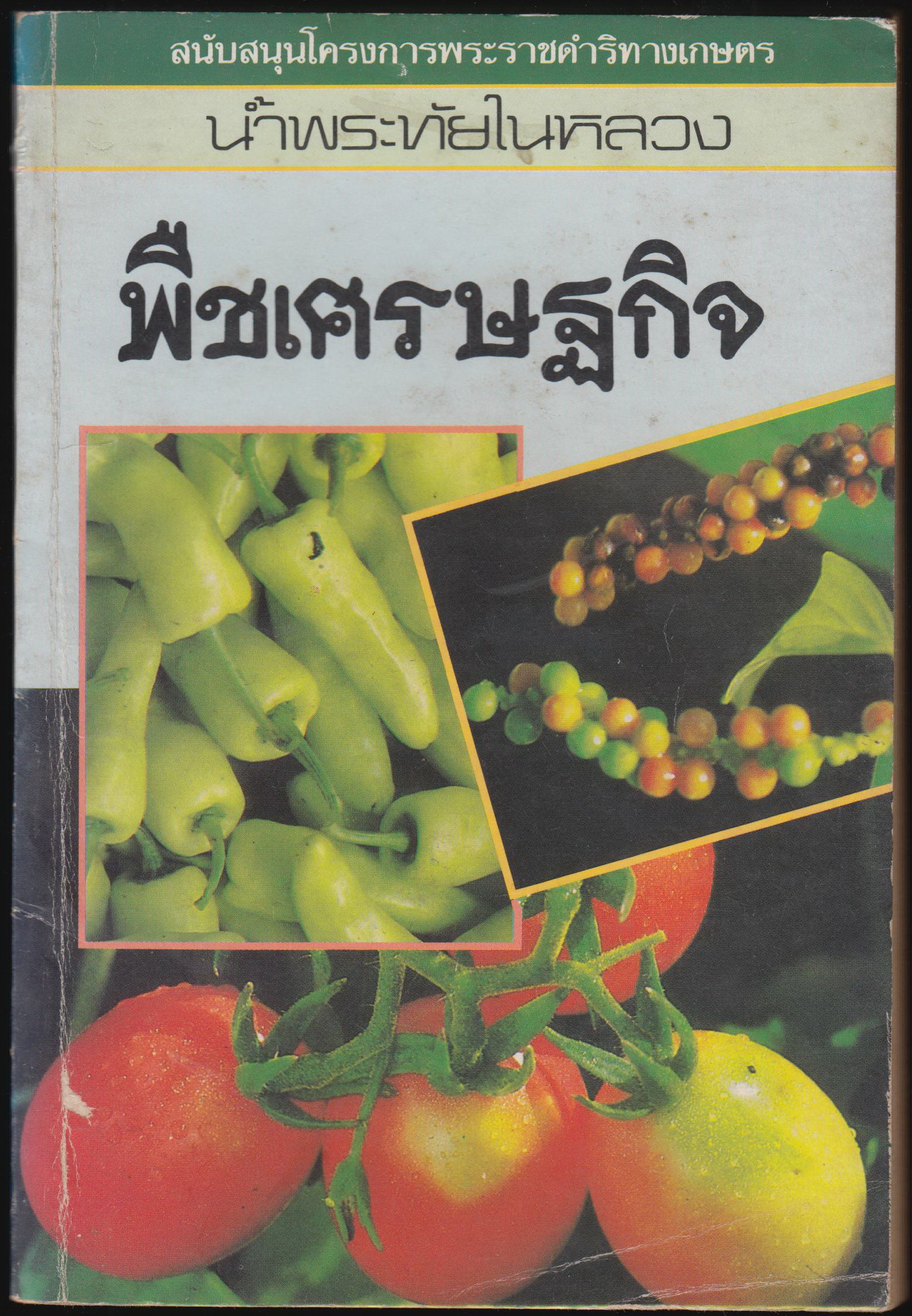 พิชเศรษฐกิจ