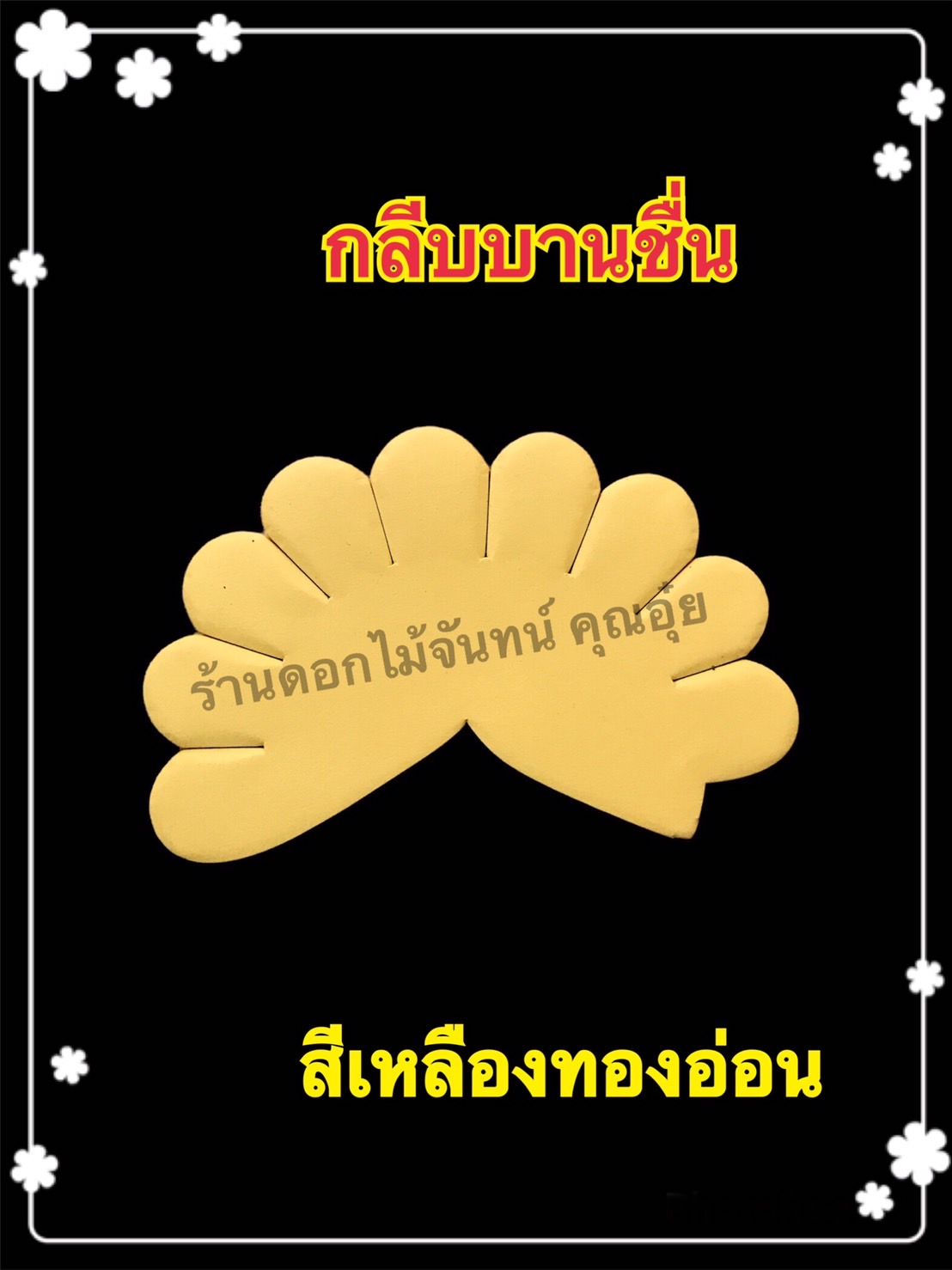 กลีบบานชื่น สีเหลืองทองอ่อน