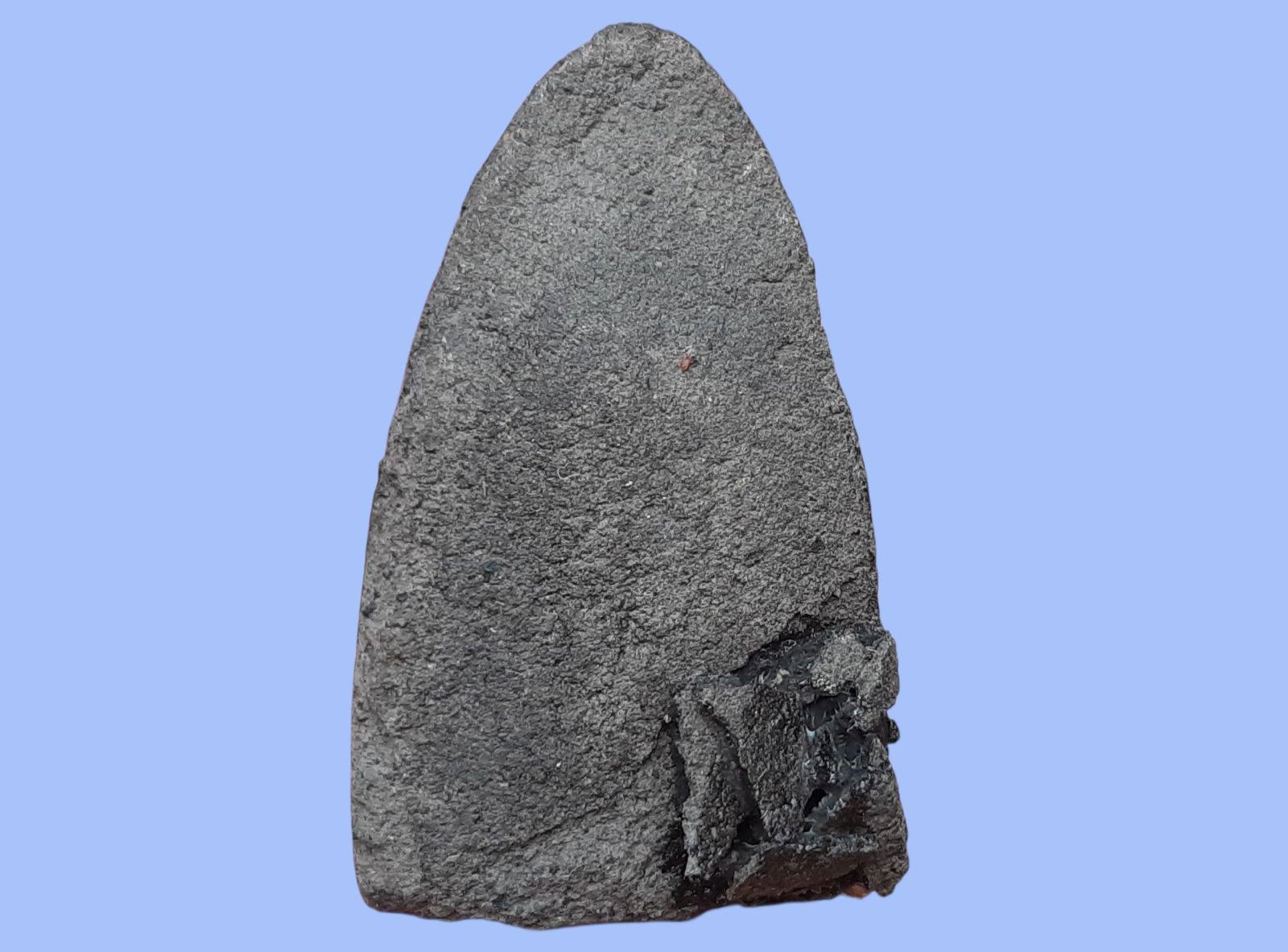 หลวงปู่ทวด วัดช้างให้ จ.ปัตตานี ปี 2497 เนื้อว่าน พิมพ์ใหญ่