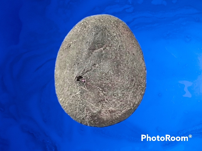 พระเม็ดบัว เจ้าคุณโพธิ์ วัดชัยพฤกษ์มาลา กรุงเทพมหานคร