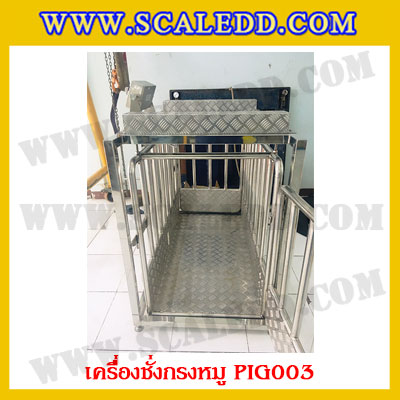 เครื่องชั่งหมูแบบกรงสแตนเลส built in printer ยี่ห้อ SDS รุ่น IDS701-PLCD พิกัด 300kg ความละเอียด 100g