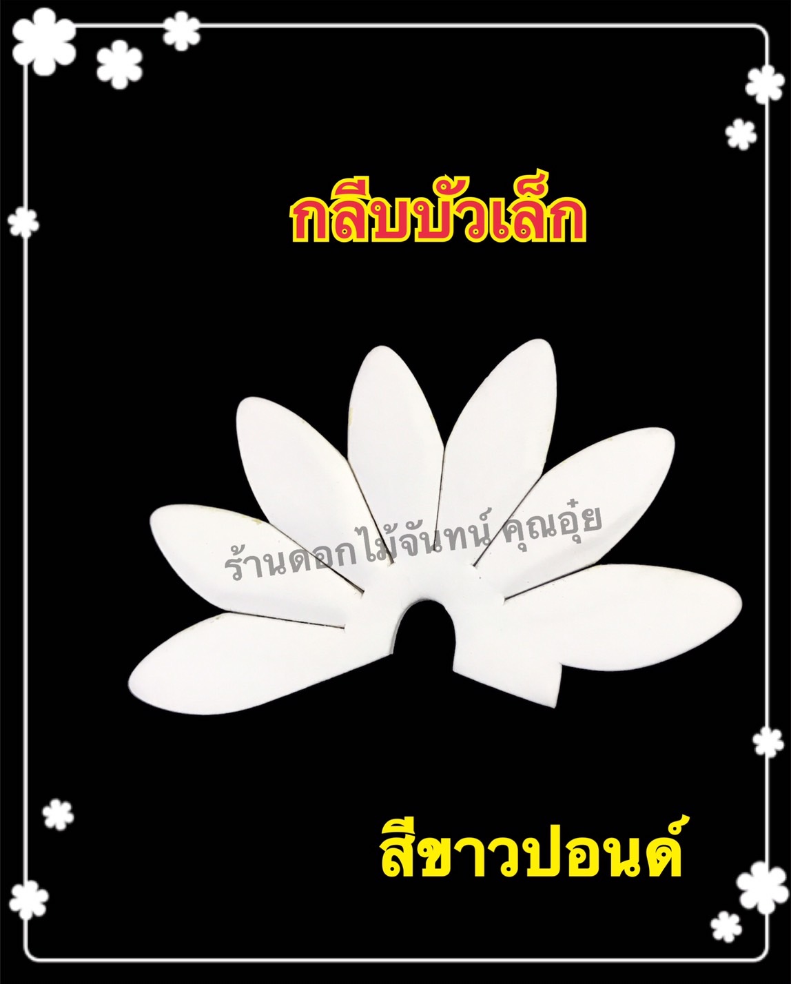 กลีบบัวเล็ก สีขาวปอนด์