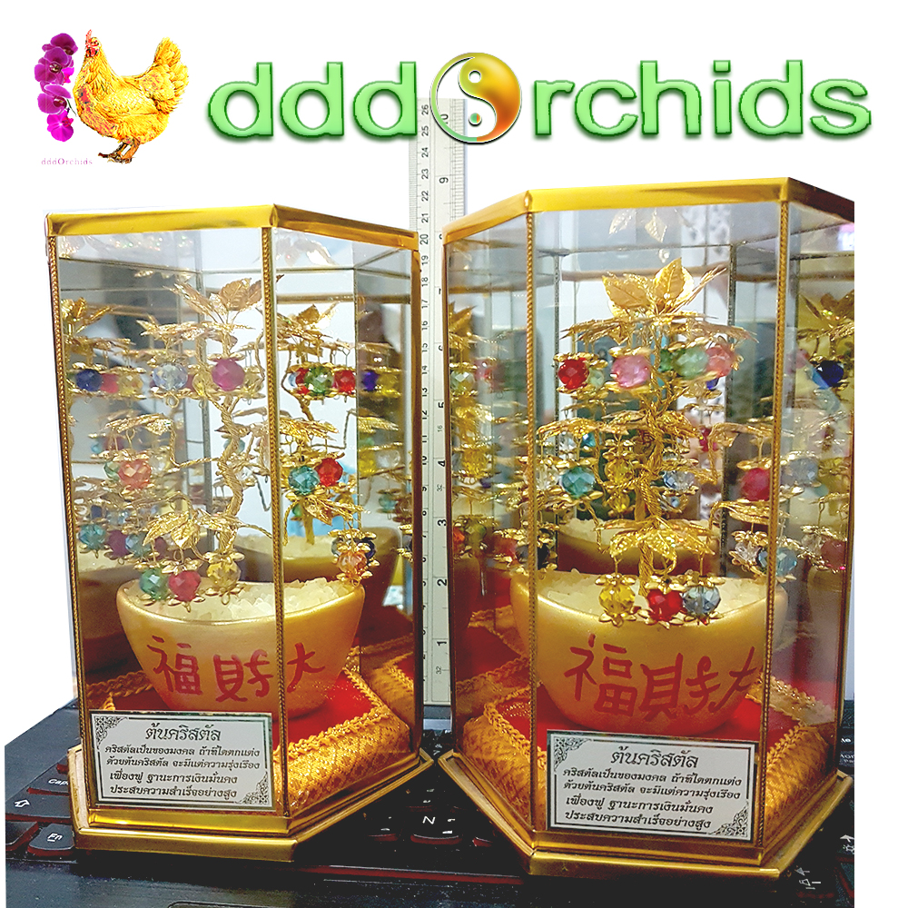 ต้นคริสตัล ต้นไม้นำโชค ดึงดูดเงินทองทรัพย์สิน ความรัก สิ่งดี ๆ เข้าสู่บ้าน+ร้านค้า+บริษัท ของประดับบ้านมงคล (จำหน่ายเป็นชุด 2 ต้น)