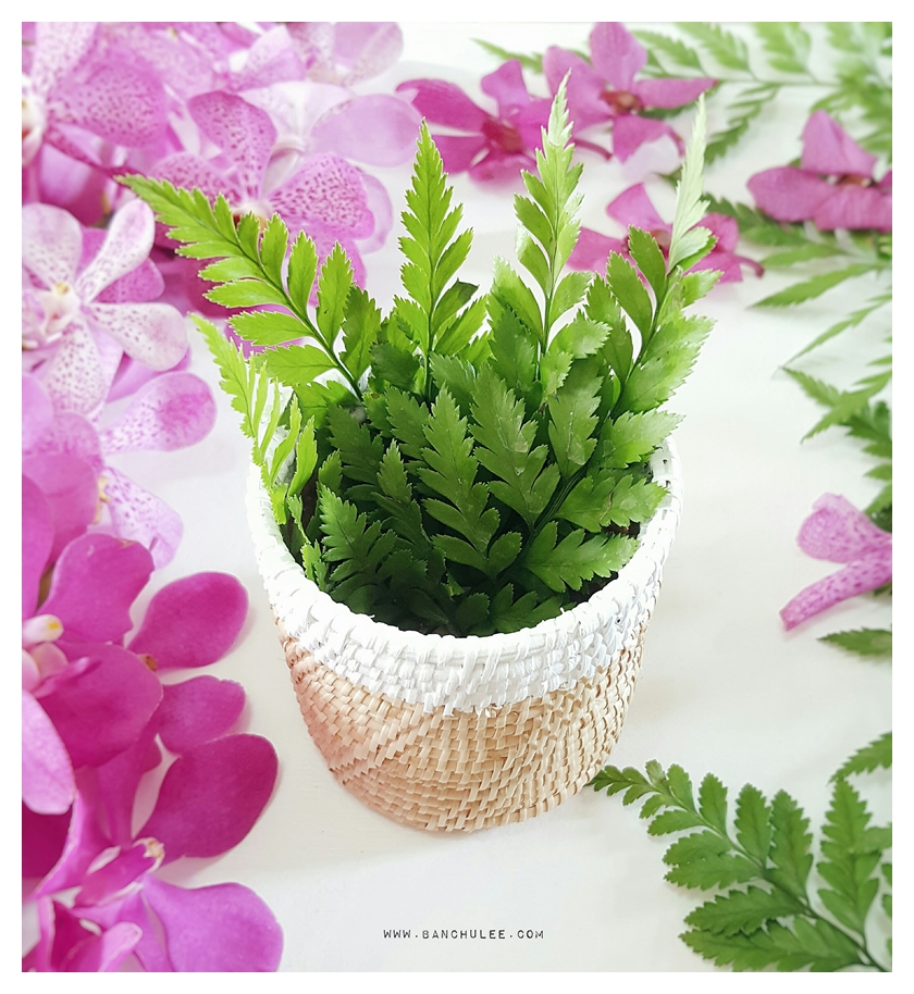 Small Wicker Basket ตะกร้าสาน ทรงกระบอก ขนาดเล็ก ทาสีขอบด้วยสีขาว