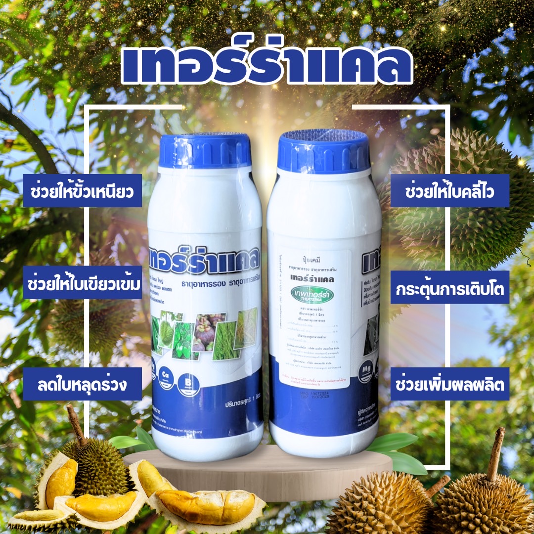 เทอร์ร่าแคล