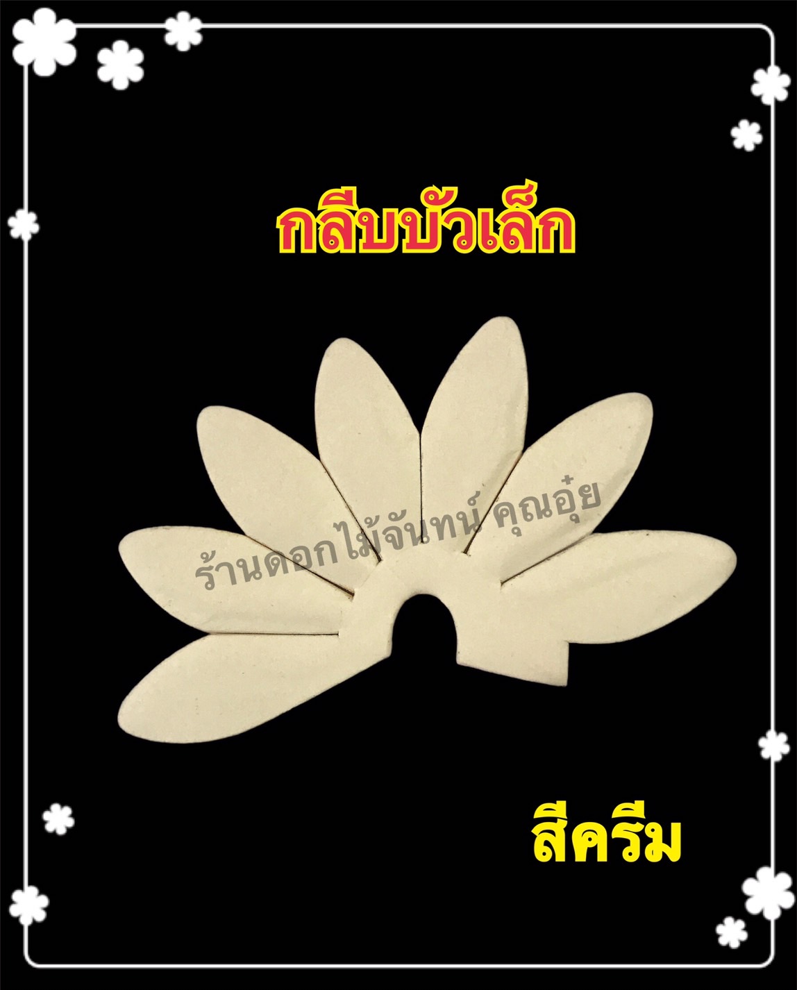 กลีบบัวเล็ก สีครีม