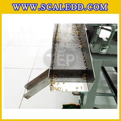 เครื่องคัดแยกข้าวกล้อง รุ่น TV 04