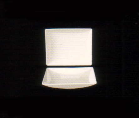 RECTANGULAR DISH Code : P6916