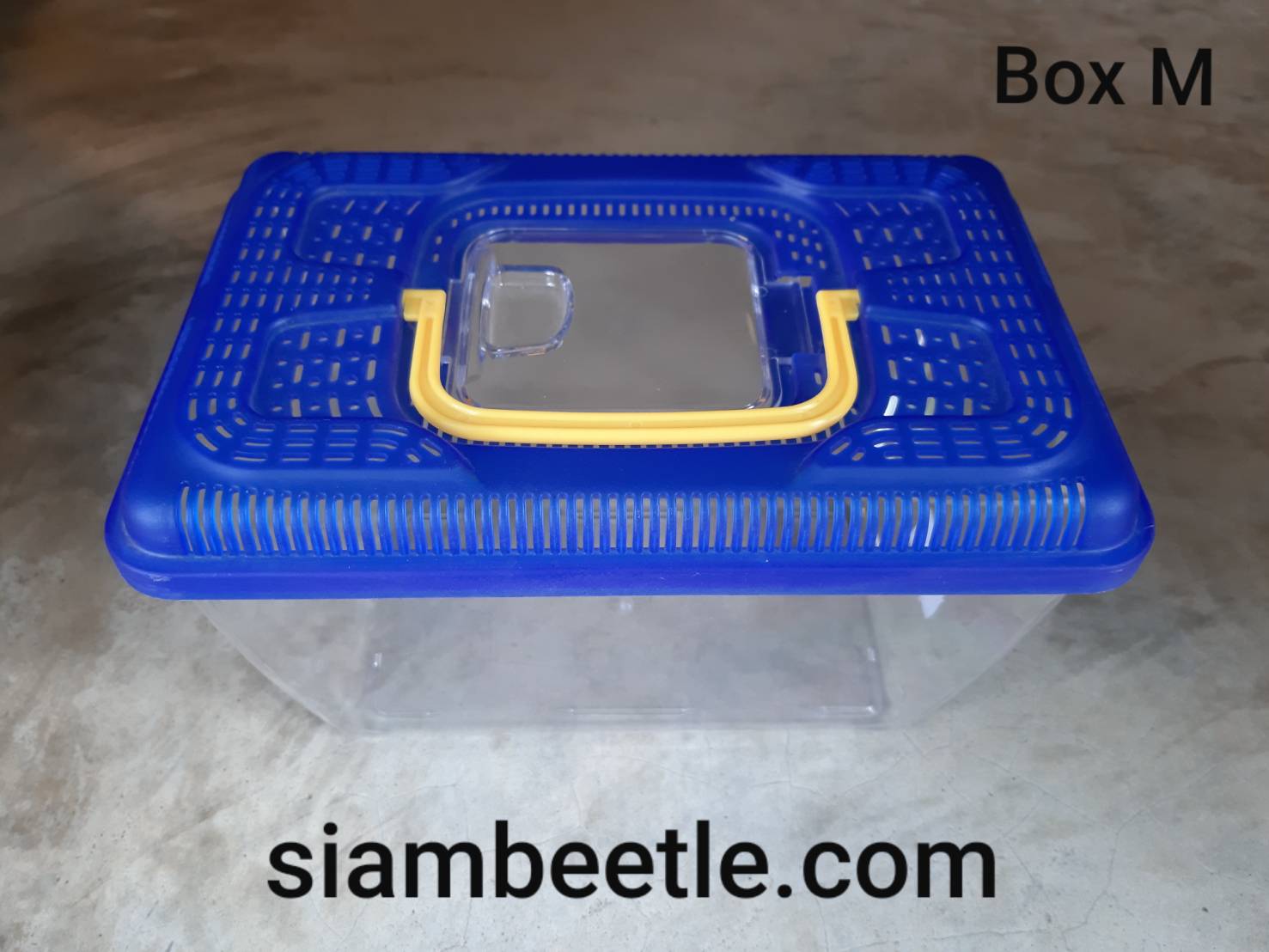 Box M
