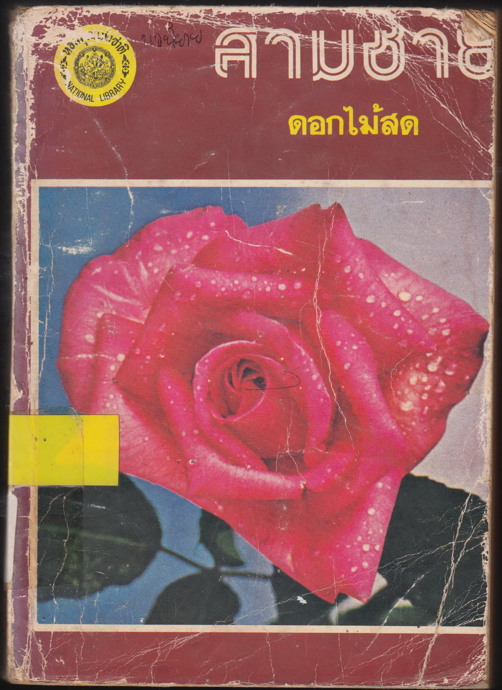 สามชาย