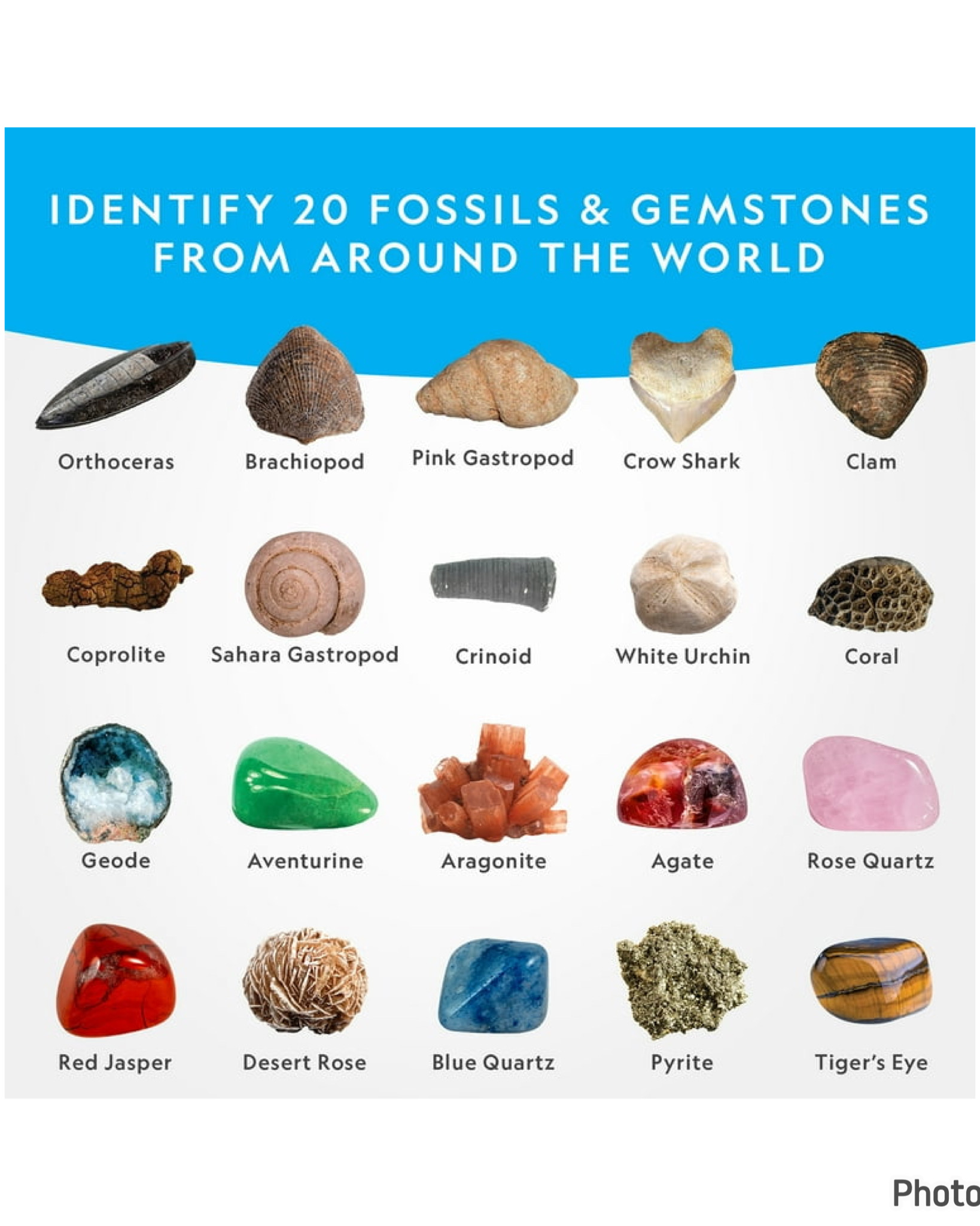 ชุดขุดหาหินมีค่าและฟอสซิล NATIONAL GEOGRAPHIC Mega Fossil and Gemstone Dig Kit