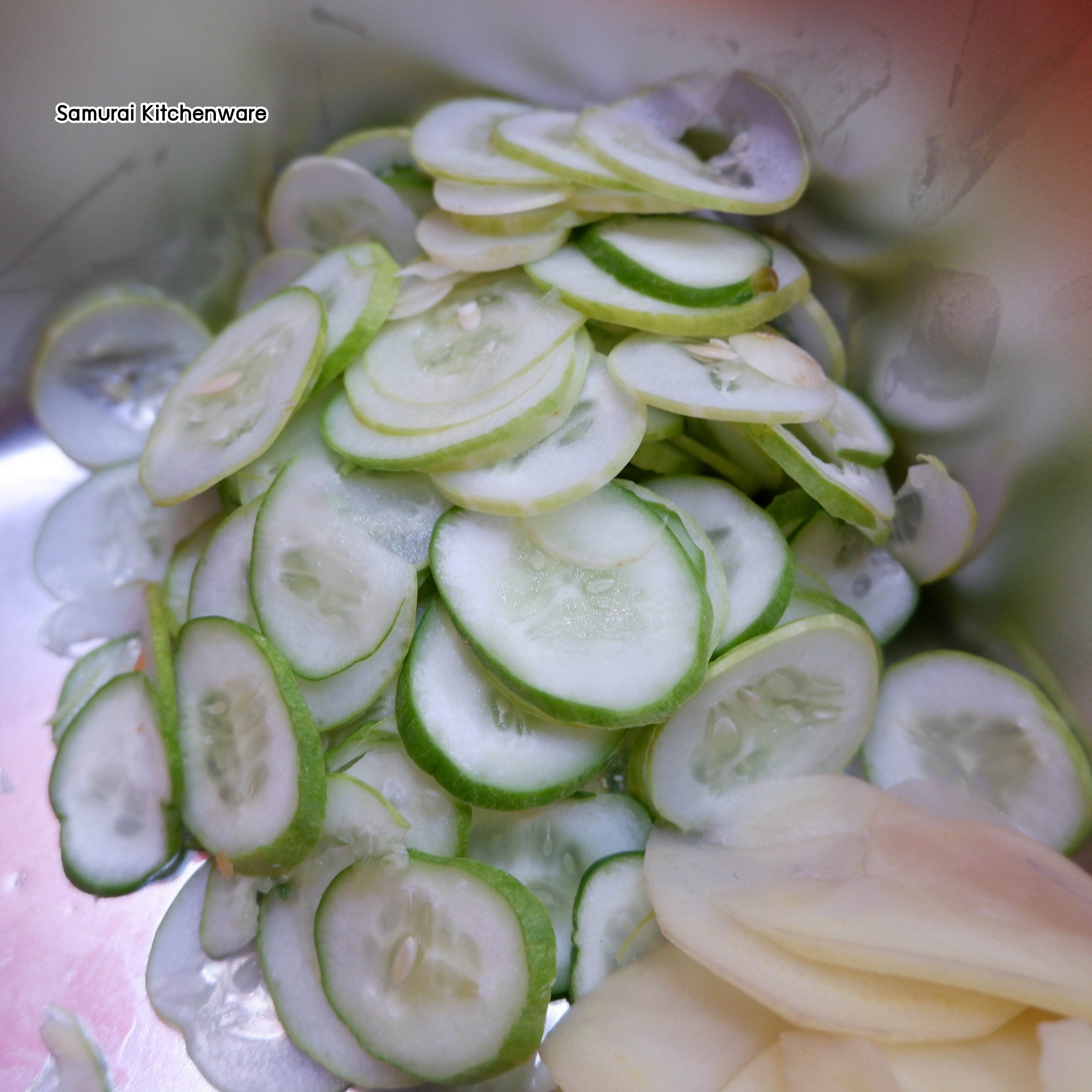 เครื่องหั่นผัก รุ่น VM-102