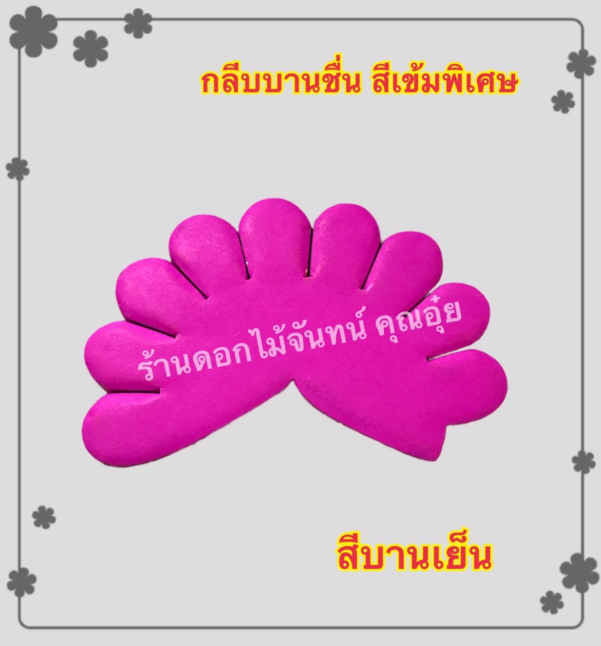 กลีบบานชื่น สีบานเย็น