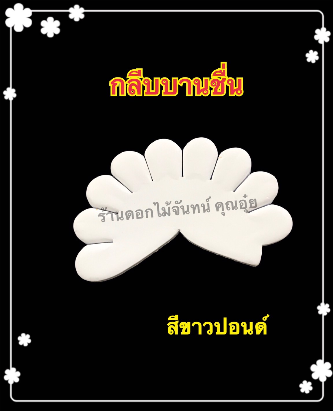 กลีบบานชื่น สีขาวปอนด์
