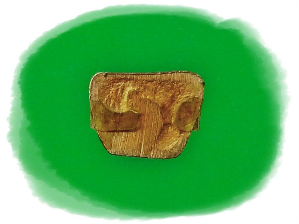 รูปเหมือน หลวงปู่ทวด วัดช้างให้ จ.ปัตตานี