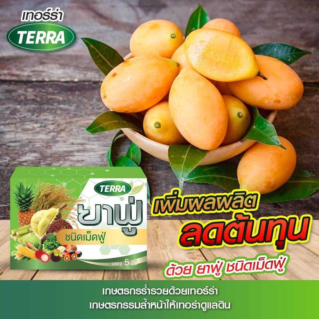 เทอร์ร่า ยาฟู่