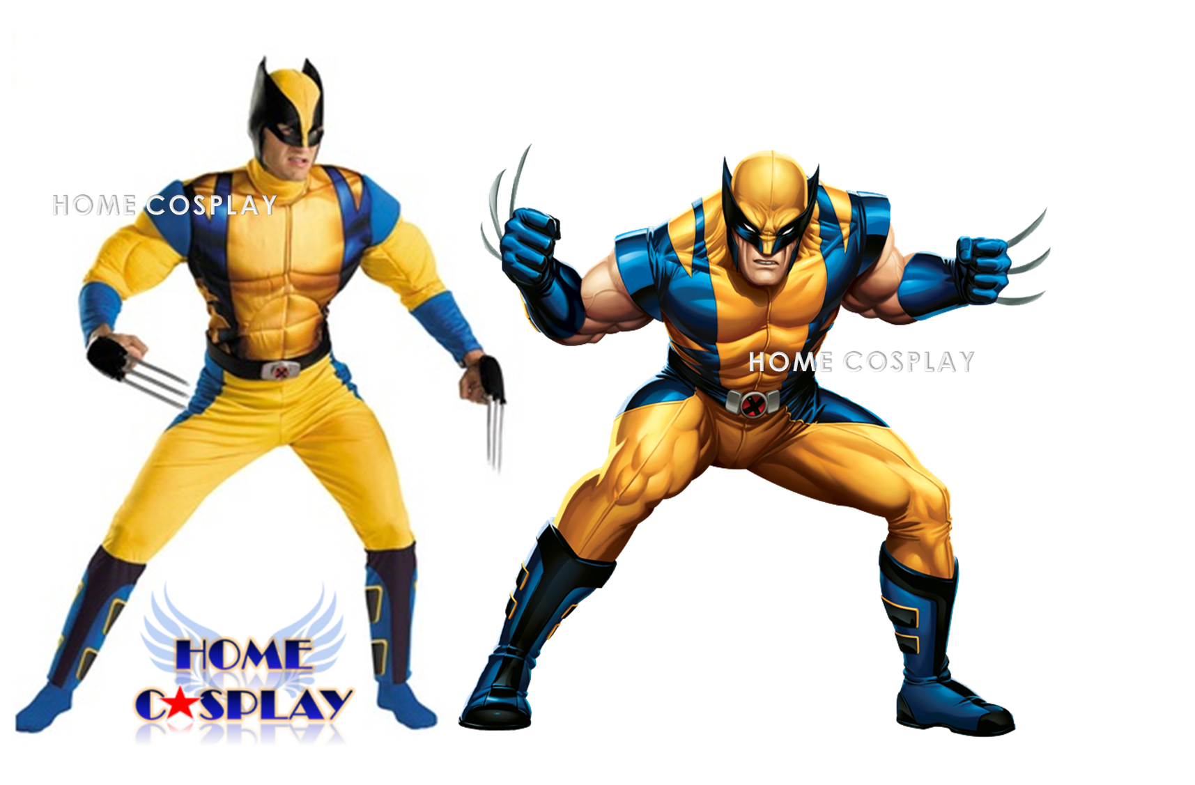 ชุดวูล์ฟเวอรีน Wolverine