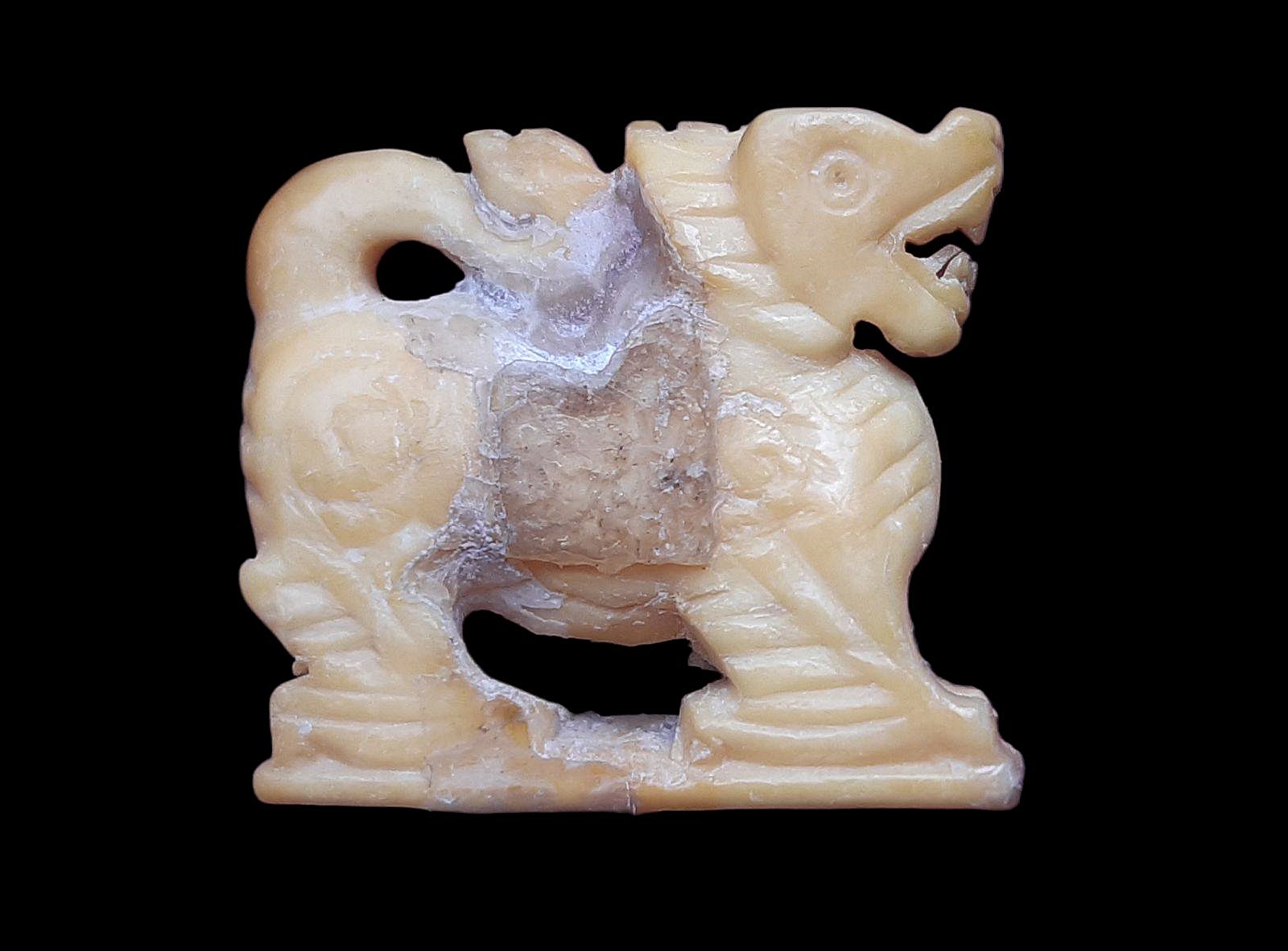 สิงห์ งาแกะ ๓ ขวัญหลวงพ่อเดิม วัดหนองโพ นครสวรรค์ ปี ๒๔๗๐-๒๔๘๒ เนื้องาแกะ ขนาดประมาณ ๒ cm. ก้นอุด