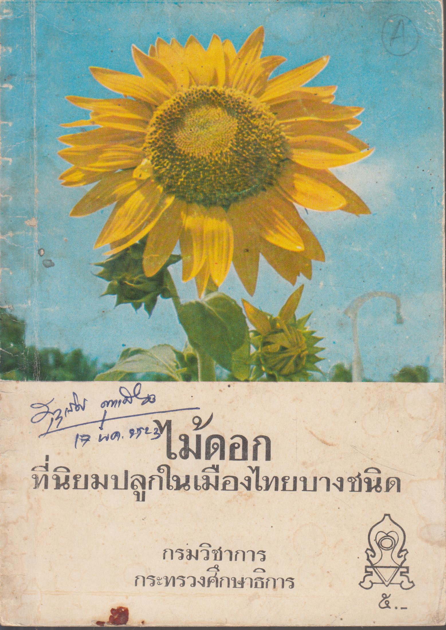 ไม้ดอก ที่นิยมปลูกเมืองไทยบางชนิด