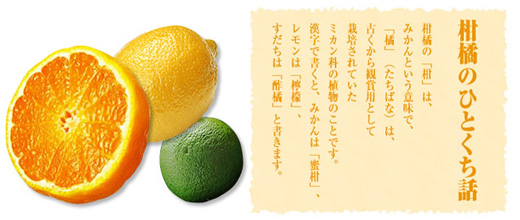 Kit Kat Japanese Mikan Lemon Citrus