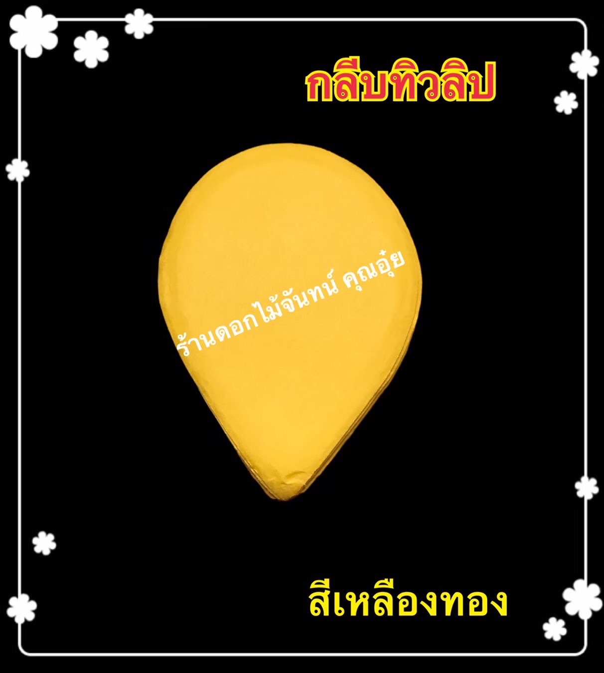 กลีบทิวลิป สีเหลืองทอง