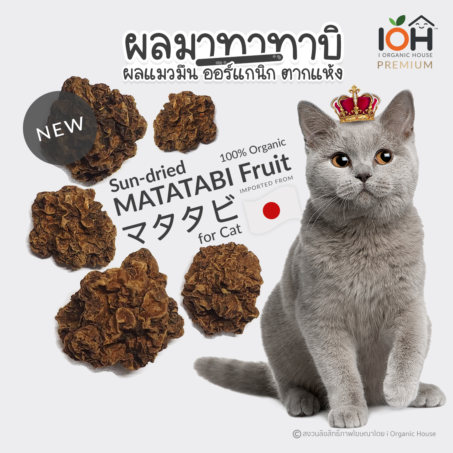 IOH ผลมาทาทาบิสด ตากแห้ง ออร์แกนิค 100% ของเล่นแมว สำหรับน้องแมว (พร้อมส่ง)