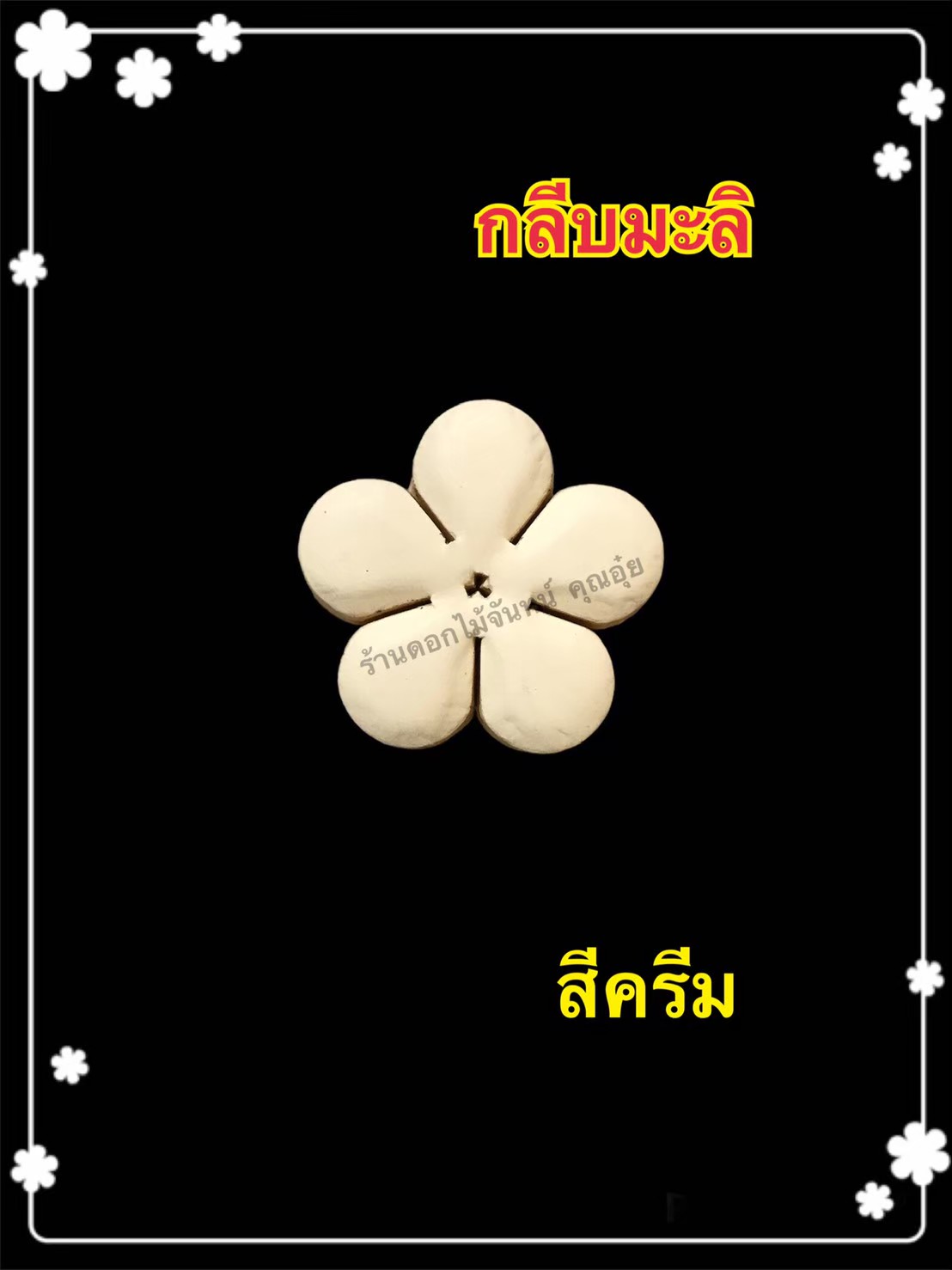 กลีบมะลิ สีครีม