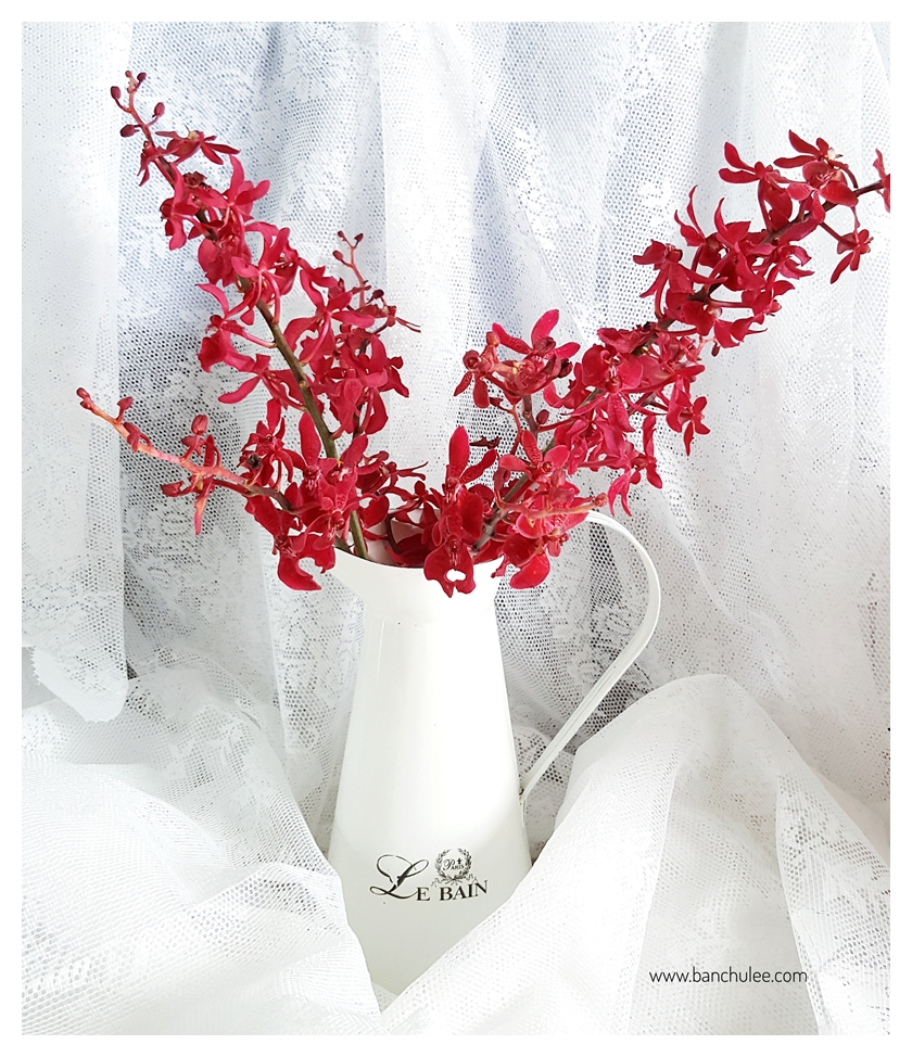 Shabby Chic Enamel Vase แจกันอีนาเมล สีขาว ทรงเหยือก