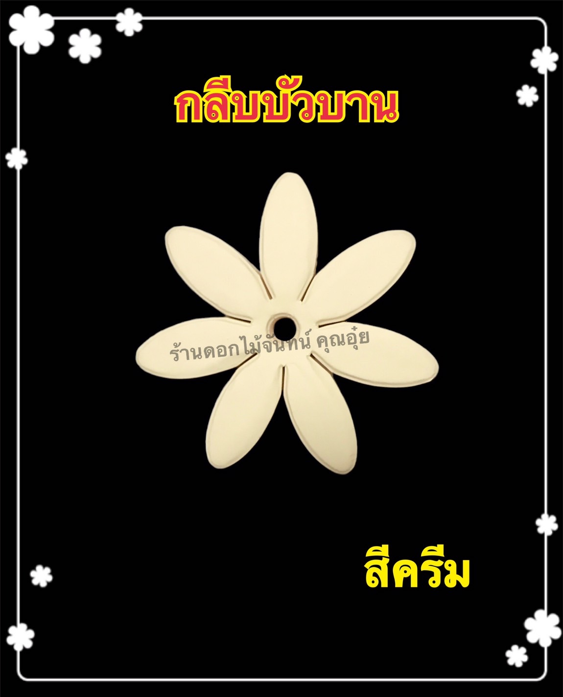 กลีบบัวบาน สีครีม