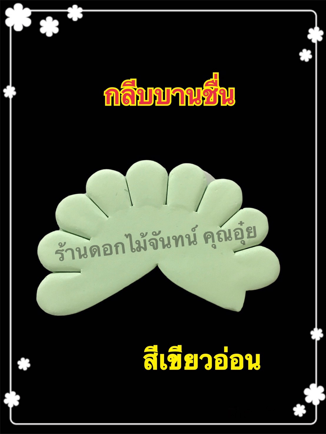 กลีบบานชื่น สีเขียวอ่อน