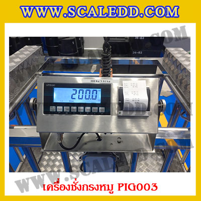 เครื่องชั่งหมูแบบกรงสแตนเลส built in printer ยี่ห้อ SDS รุ่น IDS701-PLCD พิกัด 300kg ความละเอียด 100g